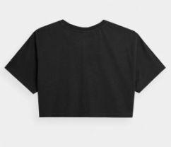 10 Different Types of T-Shirts and Their Names with Pictures Crop Top T-Shirt